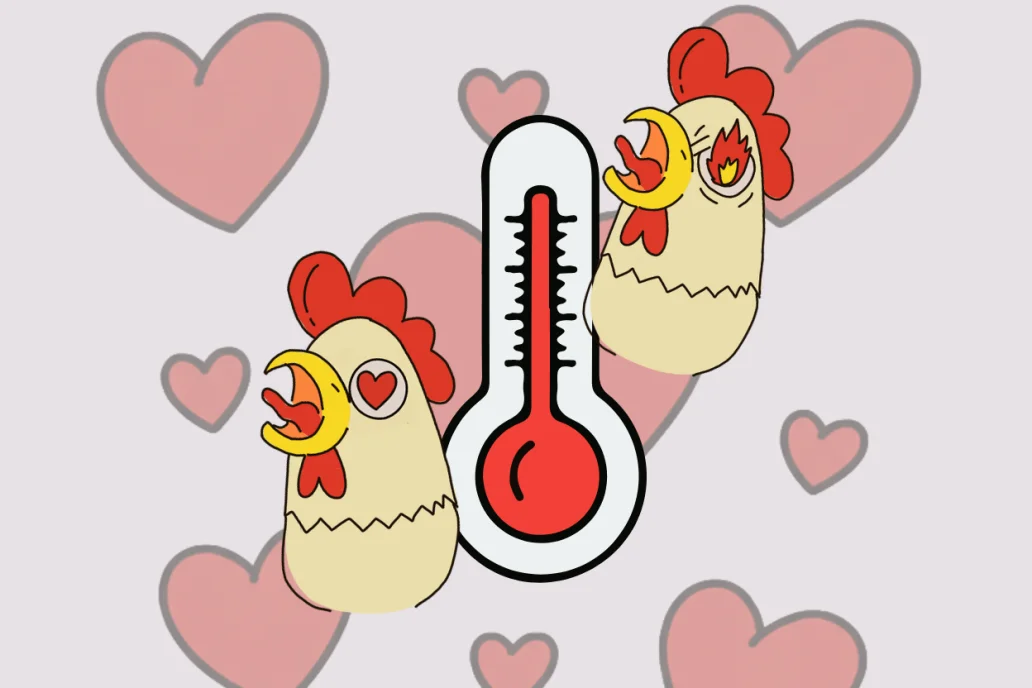 Illustration of two chickens with flaming and heart-shaped eyes around a thermometer, surrounded by hearts